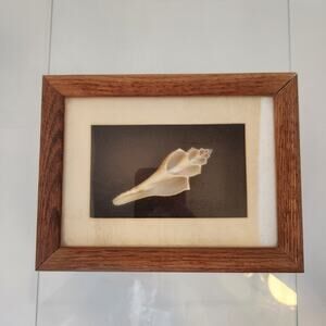 Vintage Figi Giftware Shell Shadowbox  6x8